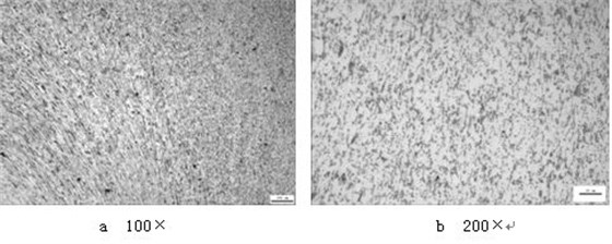 ML16CrSiNi長托板螺母未熱處理的金相組織，可見變形痕跡