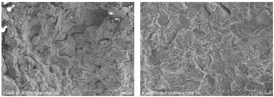 圖9-82 裂源區(qū)電鏡形貌 圖9-83擴(kuò)展區(qū)微觀形貌