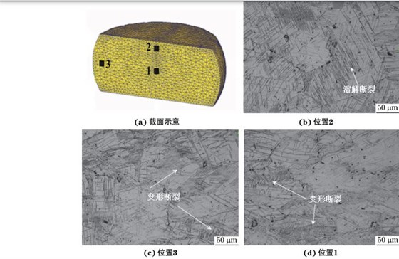 在９８０ ℃、應變速率為０．０１０s－１下壓縮至應變量為３０％后