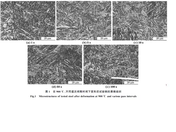 圖１ 在９００ ℃、不同道次間隔時(shí)間下變形后試驗(yàn)鋼的顯微組織