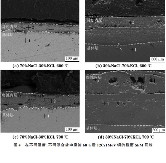 在不同溫度、不同混合鹽中腐蝕６０h后１２Cr１MoV鋼的截面SEM 形貌