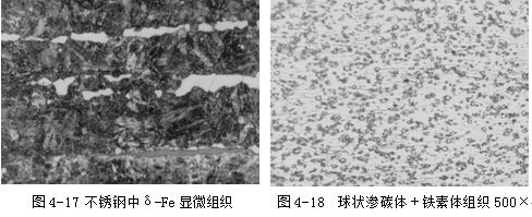 不銹鋼金相組織檢測