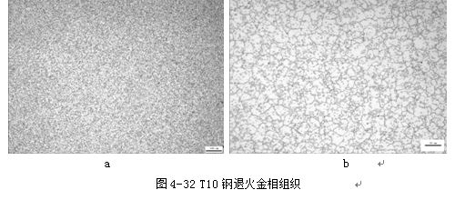 T10鋼退火金相組織