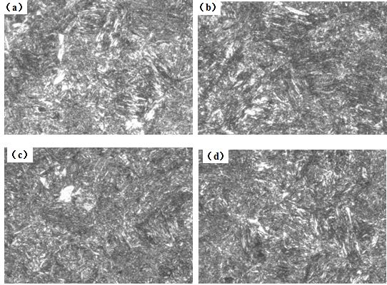 圖12-15 （a、b、c、d） 1～4號樣金相組織 500×