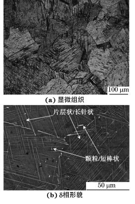圖１ 經(jīng)DP處理后GH４１６９合金的顯微組織和δ相形貌