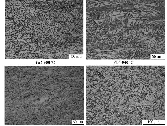圖５ 在不同溫度、應(yīng)變速率為０．０１０s－１下壓縮至應(yīng)變量為７０％后GH４１６９合金的顯微組織