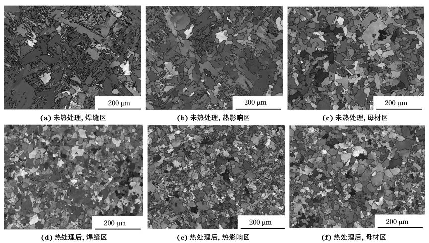 圖２ 熱處理前后焊接接頭焊縫區(qū)、熱影響區(qū)和母材區(qū)的取向成像圖