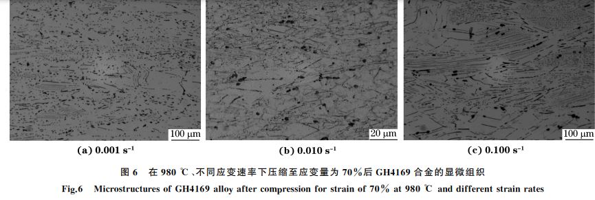 圖６ 在９８０ ℃、不同應(yīng)變速率下壓縮至應(yīng)變量為７０％