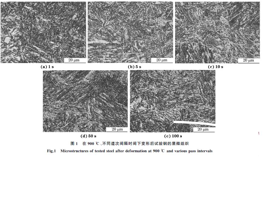 圖１ 在９００ ℃、不同道次間隔時(shí)間下變形后試驗(yàn)鋼的顯微組織