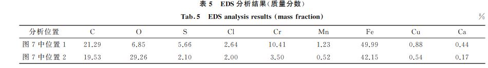 表５ EDS分析結(jié)果(質(zhì)量分?jǐn)?shù))