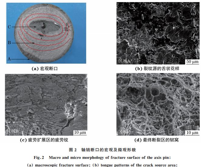 圖２ 軸銷(xiāo)斷口的宏觀及微觀形貌