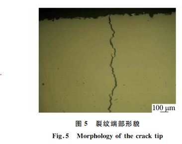 圖５ 裂紋端部形貌