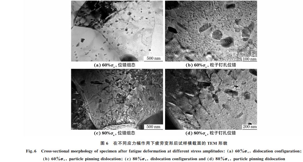 圖６ 在不同應(yīng)力幅作用下疲勞變形后試樣橫截面的 TEM 形貌