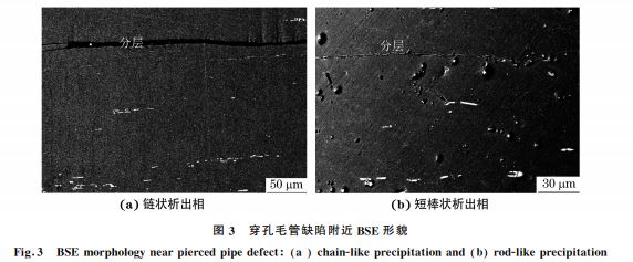 圖3 穿孔毛管缺陷附近 BSE形貌