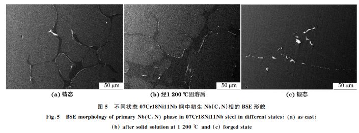 圖5 不同狀態(tài)07Cr18Ni11Nb鋼中初生 Nb(C，N)相的 BSE形貌